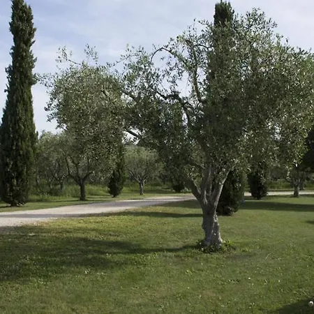 Apartment Scuderie Della Contea